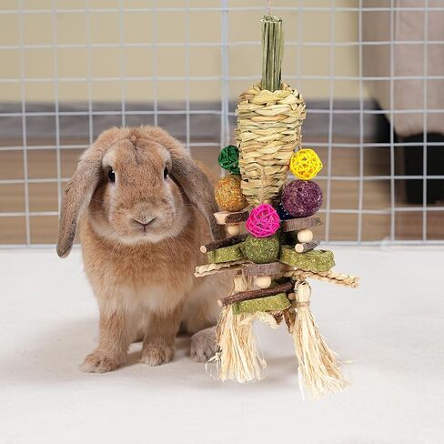 ألعاب مضغ الأرنب من YDFAZXY، ألعاب مضغ معلقة على شكل قفص أرنب، جزر منسوج طبيعي مع وجبات خفيفة لخنازير غينيا، الهامستر، فئران شنشيل، الجربوع وغيرها من ألعاب طحن أسنان الحيوانات الأليفة الصغيرة in Kuwait
