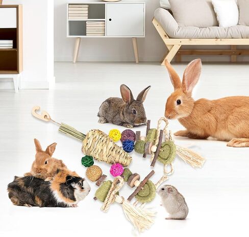 ألعاب مضغ الأرنب من YDFAZXY، ألعاب مضغ معلقة على شكل قفص أرنب، جزر منسوج طبيعي مع وجبات خفيفة لخنازير غينيا، الهامستر، فئران شنشيل، الجربوع وغيرها من ألعاب طحن أسنان الحيوانات الأليفة الصغيرة in Kuwait