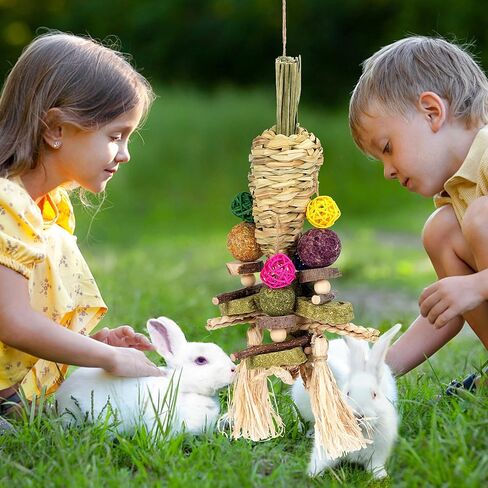 ألعاب مضغ الأرنب من YDFAZXY، ألعاب مضغ معلقة على شكل قفص أرنب، جزر منسوج طبيعي مع وجبات خفيفة لخنازير غينيا، الهامستر، فئران شنشيل، الجربوع وغيرها من ألعاب طحن أسنان الحيوانات الأليفة الصغيرة in Kuwait