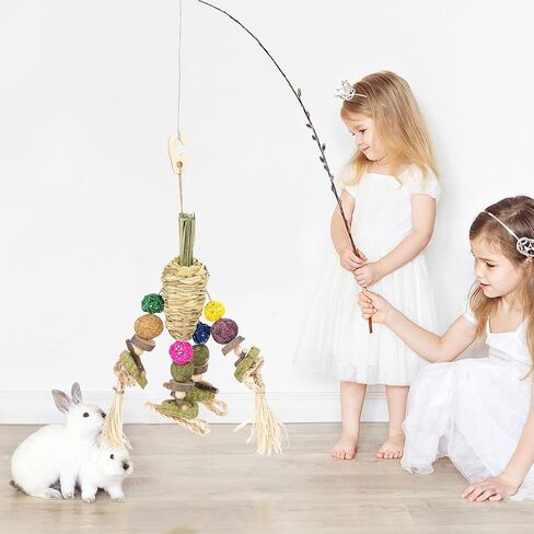 ألعاب مضغ الأرنب من YDFAZXY، ألعاب مضغ معلقة على شكل قفص أرنب، جزر منسوج طبيعي مع وجبات خفيفة لخنازير غينيا، الهامستر، فئران شنشيل، الجربوع وغيرها من ألعاب طحن أسنان الحيوانات الأليفة الصغيرة in Kuwait