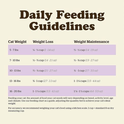 GO! SOLUTIONS Now Fresh Grain Free Cat Food, 8 lb - Dry Cat Food Recipe for Senior Cats with Real Meat and Fish for Protein in Kuwait