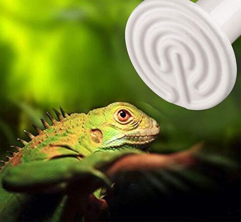 2 Pack 100W White Infrared Heat Lamp Bulbs, Ceramic Heating Emitter Brooder Coop Pet Red Lamp Bulbs for Reptiles, Tortoise etc. Without light in Kuwait