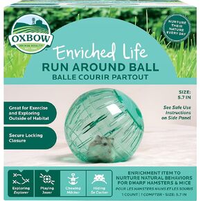 Oxbow Enriched Life Small Animal Toys - Fitness Ball Toy for Dwarf Hamsters & Mice (2 in 1 Fitness Ball) in Kuwait