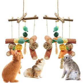 RUNANIA Bunny Chew Toy, Rabbit Cage Accessories Small Animal Hanging Chew Toys and Treats for Guinea Pigs Chinchillas Hamsters Rats in Kuwait