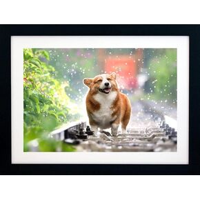 10x14 Black Gallery Picture Frame with 8x12 Mat - Wide Molding - Includes Both Attached Hanging Hardware and Desktop Easel - Display Pictures 8 x 12 or 10 x 14