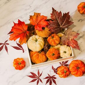 Romingo Halloween القرع الاصطناعي 12 حزمة وهمية المخملية الاصطناعية القرع الصغيرة لحصاد الخريف، عيد الشكر، ديكور حفلة عيد الميلاد
