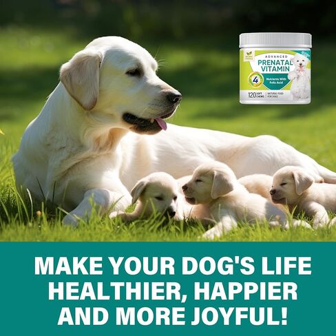 فيتامينات ومكملات غذائية للكلاب، فيتامينات ما قبل الولادة للكلاب، جلوكوزامين للكلاب، فيتامينات متعددة للكلاب من الجراء إلى كبار السن، صحة الجلد والمعطف والمفاصل، 120 قطعة مضغ ناعمة in Kuwait