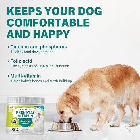 فيتامينات ومكملات غذائية للكلاب، فيتامينات ما قبل الولادة للكلاب، جلوكوزامين للكلاب، فيتامينات متعددة للكلاب من الجراء إلى كبار السن، صحة الجلد والمعطف والمفاصل، 120 قطعة مضغ ناعمة in Kuwait