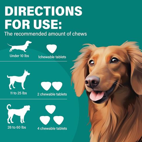 فيتامينات ومكملات غذائية للكلاب، فيتامينات ما قبل الولادة للكلاب، جلوكوزامين للكلاب، فيتامينات متعددة للكلاب من الجراء إلى كبار السن، صحة الجلد والمعطف والمفاصل، 120 قطعة مضغ ناعمة in Kuwait