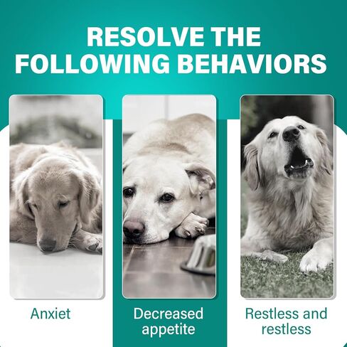 فيتامينات ومكملات غذائية للكلاب، فيتامينات ما قبل الولادة للكلاب، جلوكوزامين للكلاب، فيتامينات متعددة للكلاب من الجراء إلى كبار السن، صحة الجلد والمعطف والمفاصل، 120 قطعة مضغ ناعمة in Kuwait