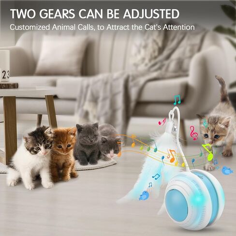 لعبة القطط الأوتوماتيكية، لعبة الفراشة التفاعلية التي تدور 360 درجة، لعبة القطط الداخلية للحيوانات الأليفة، أربعة أوضاع قابلة للتعديل وأربعة أوضاع للتمرين، مع استبدال الفراشة in Kuwait