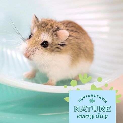 Oxbow Enriched Life Small Animal Toys - Fitness Ball Toy for Dwarf Hamsters & Mice (2 in 1 Fitness Ball) in Kuwait