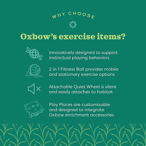 Oxbow Enriched Life Small Animal Toys - Fitness Ball Toy for Dwarf Hamsters & Mice (2 in 1 Fitness Ball) in Kuwait