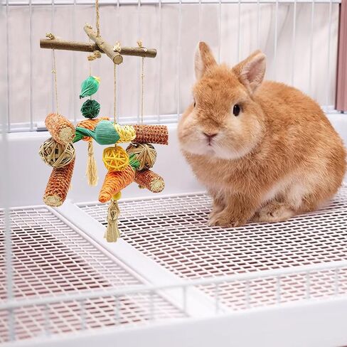 RUNANIA Bunny Chew Toy, Rabbit Cage Accessories Small Animal Hanging Chew Toys and Treats for Guinea Pigs Chinchillas Hamsters Rats in Kuwait