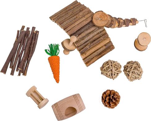 ناكوموكي العاب الهامستر 11 عبوة من العاب خنزير غينيا للعناية بالاسنان، العاب مضغ خشبية طبيعية وملحقات للهامستر السوري والارانب والجرذان والببغاوات واليربوع in Kuwait