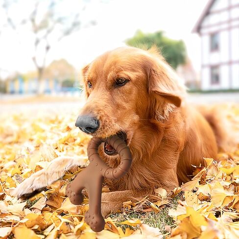 ألعاب الكلاب كيشار للمضغ العدواني، ألعاب مضغ للكلاب غير قابلة للتدمير للمضغ العدواني، ألعاب مضغ قوية للكلاب الكبيرة/المتوسطة/الصغيرة، ألعاب تفاعلية متينة للكلاب من أجل الملل in Kuwait