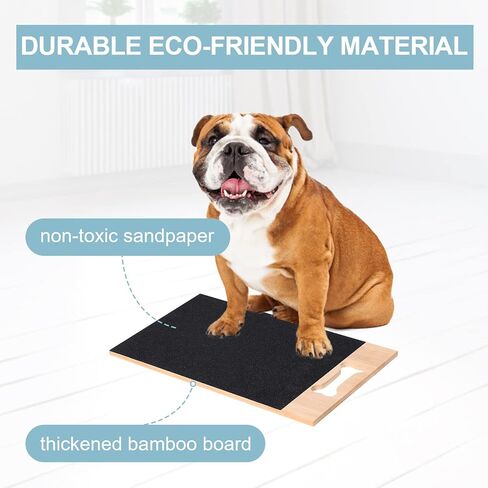 لوح خدش اظافر للكلاب الصغيرة والمتوسطة من رونسونج، لوح مبرد اظافر قدم للكلاب الصغيرة والمتوسطة، لوح صنفرة مزدوج الجوانب، 15 انش × 8.7 انش in Kuwait