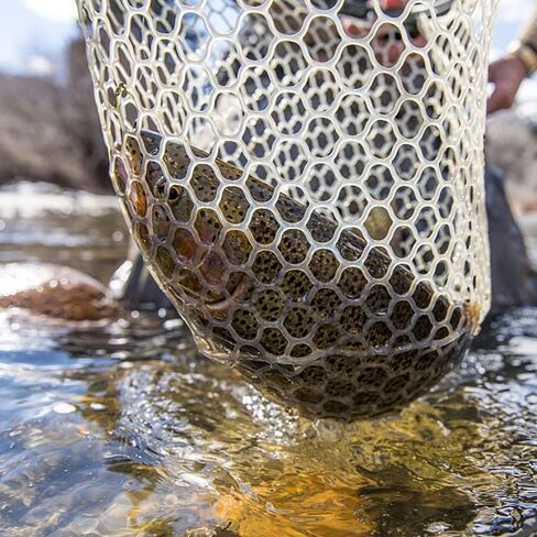 شبكة صيد السمك من Fashionwu شبكة هبوط لصيد سمك السلمون المرقط، شبكة سمك خشبية مع شبكة مطاطية ناعمة شفافة، شبكة صيد وإطلاق لسمك السلمون المرقط، هدايا له in Kuwait