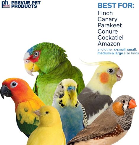 Prevue Pet Products Forage & Engage Tropical Teasers Tiki Hut Bird Toy 62188 in Saudi Arabia