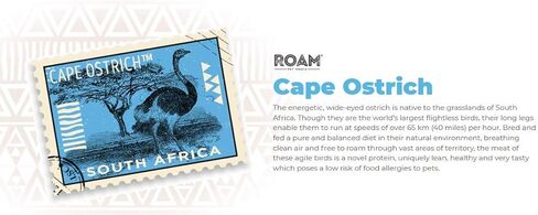 مجموعة متنوعة من مكافآت Roam Pet للعظام والمضغ مكونة من 3 قطع - GNAW-kle كبير، وBoss-trich، وعظم النخاع المدخن الكبير للكلاب المتوسطة والكبيرة in Kuwait