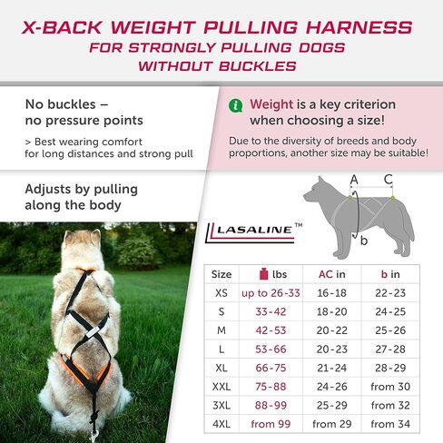لاسالين - حزام سحب الكلاب، XBack for Canicross، رياضة الكلاب، ركوب الدراجة، التزلج على الجليد، حزام الزلاجات، هريسة الكلاب، حزام الجري للكلاب، أزرق فاتح أسود in Saudi Arabia