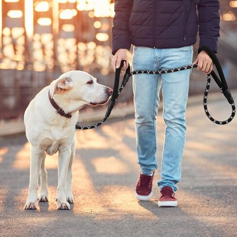 مقود الكلاب SuplutuX بطول 6 أقدام | مقود الكلب بمقبضين | مقابض مبطنة مريحة | متين | خياطة عاكسة | مقود للكلاب بمقبض مزدوج للكلاب الكبيرة والمتوسطة والصغيرة (6 أقدام) باللون الأسود in Kuwait