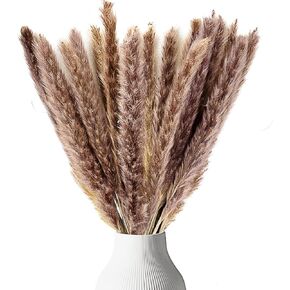 Live N Lux Pampas Grass Decor - 30 Pcs 18 Inch Tall Dried Pampas Grass, Boho Home Decor Great Natural Dried Pampas Grass Decor for Table & Floor Vase, Bouquet, Floral Arrangements and More in Saudi Arabia