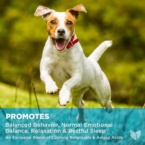 Hyland's Naturals - Dogs - Calm & Balance, 90 Soft Chews, Supports Balanced Behavior, Normal Emotional Balance, Relaxation & Restful Sleep, L-Theanine, GABA & Chamomile, Chicken Liver Flavor in Kuwait