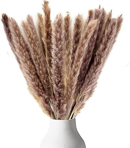 Live N Lux Pampas Grass Decor - 30 Pcs 18 Inch Tall Dried Pampas Grass, Boho Home Decor Great Natural Dried Pampas Grass Decor for Table & Floor Vase, Bouquet, Floral Arrangements and More in Saudi Arabia