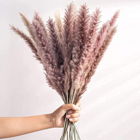 Live N Lux Pampas Grass Decor - 30 Pcs 18 Inch Tall Dried Pampas Grass, Boho Home Decor Great Natural Dried Pampas Grass Decor for Table & Floor Vase, Bouquet, Floral Arrangements and More in Saudi Arabia