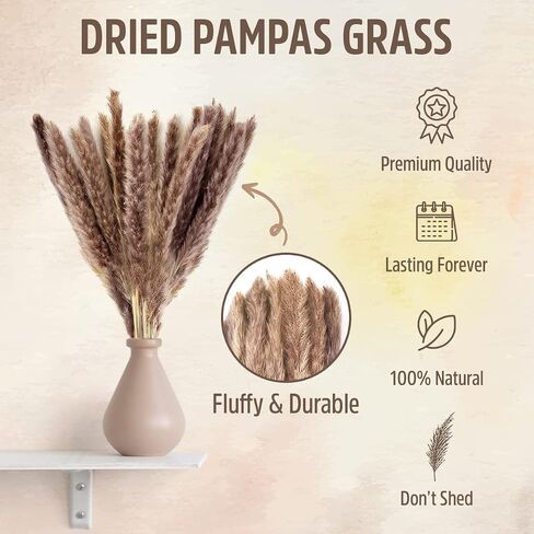 Live N Lux Pampas Grass Decor - 30 Pcs 18 Inch Tall Dried Pampas Grass, Boho Home Decor Great Natural Dried Pampas Grass Decor for Table & Floor Vase, Bouquet, Floral Arrangements and More in Saudi Arabia