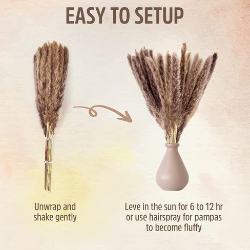 Live N Lux Pampas Grass Decor - 30 Pcs 18 Inch Tall Dried Pampas Grass, Boho Home Decor Great Natural Dried Pampas Grass Decor for Table & Floor Vase, Bouquet, Floral Arrangements and More in Saudi Arabia