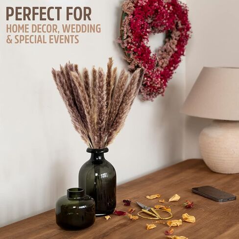 Live N Lux Pampas Grass Decor - 30 Pcs 18 Inch Tall Dried Pampas Grass, Boho Home Decor Great Natural Dried Pampas Grass Decor for Table & Floor Vase, Bouquet, Floral Arrangements and More in Saudi Arabia