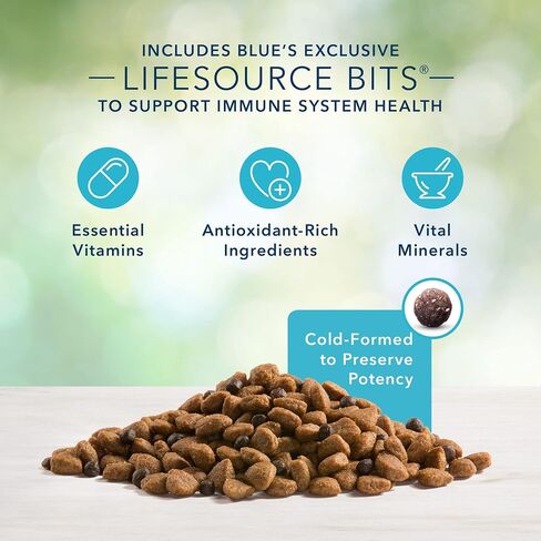 Blue Buffalo Freedom Grain Free Natural Adult Dry Dog Food, Chicken 4-lb in Saudi Arabia