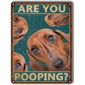 Metal Tin Sign Retro Iron Painting Dachshund are You Pooping Restroom Bathroom Wall Decor Dog Lovers Gift Dachshunds Bathroom Decor Pub Diner Cafe Wall Decor Home Decor Art 8x12inch-Tin Sign