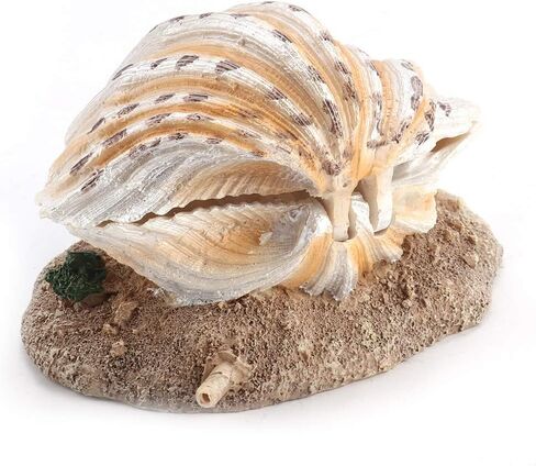 ديكور حوض السمك الشعاب المرجانية تهوية عمل زخرفة خزان الأسماك دائم محاكاة الراتنج قذيفة اللؤلؤ الفوار ديكور الحلي in Kuwait