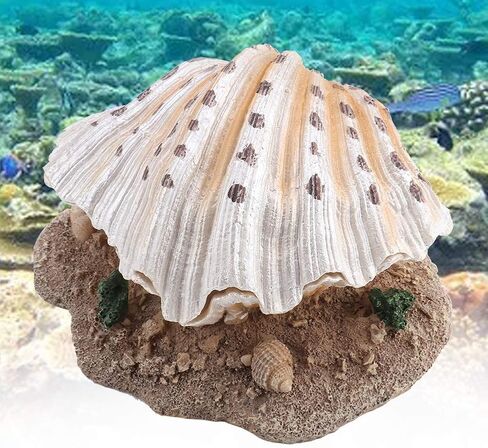 ديكور حوض السمك الشعاب المرجانية تهوية عمل زخرفة خزان الأسماك دائم محاكاة الراتنج قذيفة اللؤلؤ الفوار ديكور الحلي in Kuwait