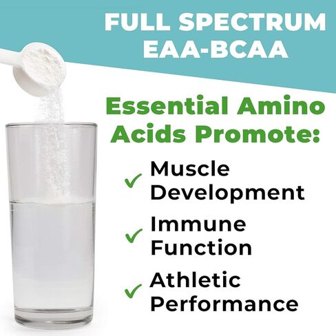 Gold BJJ PostRoll - مكمل Jiu Jitsu لما بعد التمرين مع الأحماض الأمينية الأساسية EAA وBCAA - مسحوق ما بعد التمرين خاص بالفنون القتالية (ثلج الليمون، 30 وجبة) in Kuwait