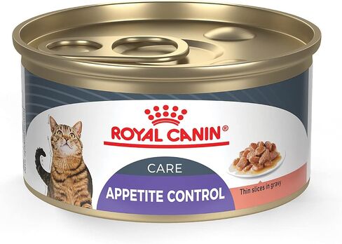Royal Canin Feline Care Nutrition Appetite Control Thin Slices in Gravy Wet Cat Food, 3 Ounce Can (Pack of 24) in Kuwait