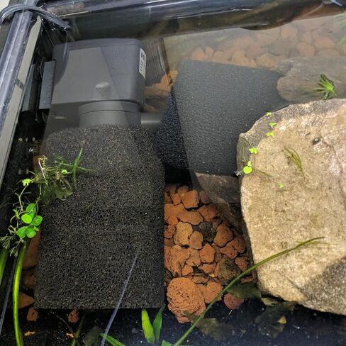 Qzbhct X-Large Foam Filter Sponges for Canister Filters Aquaclear 70/110 Filters Overflow Filter Box Intake Round Pre-Filter 5.91" x 4.13" in Kuwait