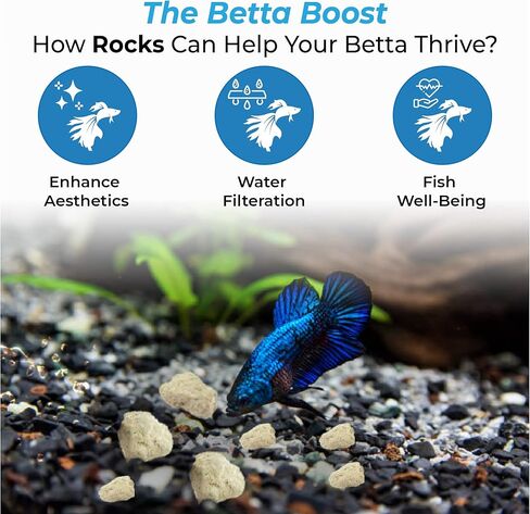 جور صخور معدنية من بيتا فيش، 2 اونصة، تضيف حيوية للحياة المائية، مثالية للبيتا، تساعد في التزاوج والتكاثر، ديكور ريفي لأحواض النانو واوعية السمك والبرطمانات in Kuwait