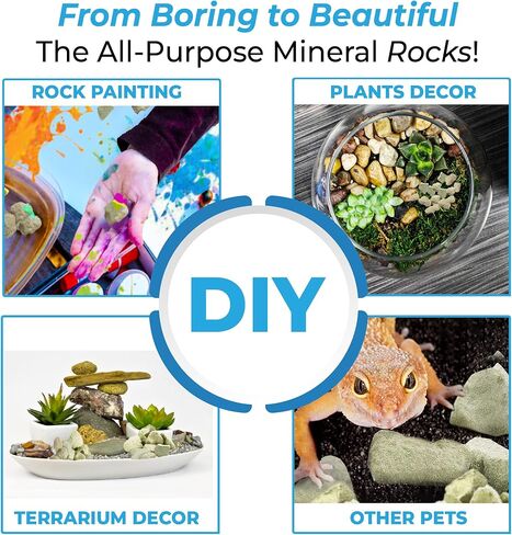 جور صخور معدنية من بيتا فيش، 2 اونصة، تضيف حيوية للحياة المائية، مثالية للبيتا، تساعد في التزاوج والتكاثر، ديكور ريفي لأحواض النانو واوعية السمك والبرطمانات in Kuwait