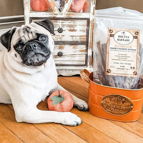 BRUTUS & BARNABY USA البطاطا الحلوة للكلاب - خالية من الحبوب، وأعواد لحم الخنزير المقدد باليقطين المقرمشة - مذاق رائع، وتعزز صحة أمعاء الكلاب بشكل إيجابي مع خصائص طبيعية مضادة للإسهال، بدون إضافة مواد حافظة in Kuwait