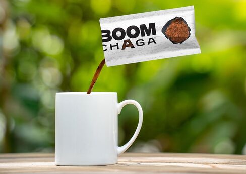BOOM Chaga Mushroom Superdrink، مركز سائل فطر شاجا الخالي من الأكسالات، معزز يومي لمضادات الأكسدة، 31 عبوة فردية in Saudi Arabia