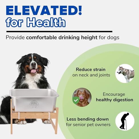 1.2 Gallon Raised Dog Water Bowl, Human Grade 18/8 Stainless Steel in Kuwait