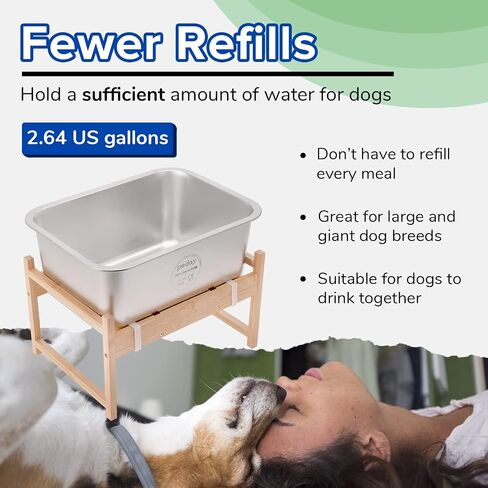 1.2 Gallon Raised Dog Water Bowl, Human Grade 18/8 Stainless Steel in Kuwait