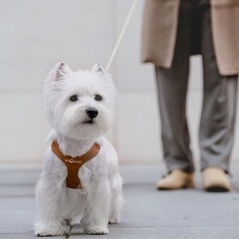 VOOCOO Dog Harness and Leash Set, No Pull No Choke Neck & Chest Adjustable Pet Harness for Small, Medium Dogs, Soft PU Leather Dog Harness with Reflective Anti-Twist Dog Leash for Puppy, Kitten, Cats in Kuwait