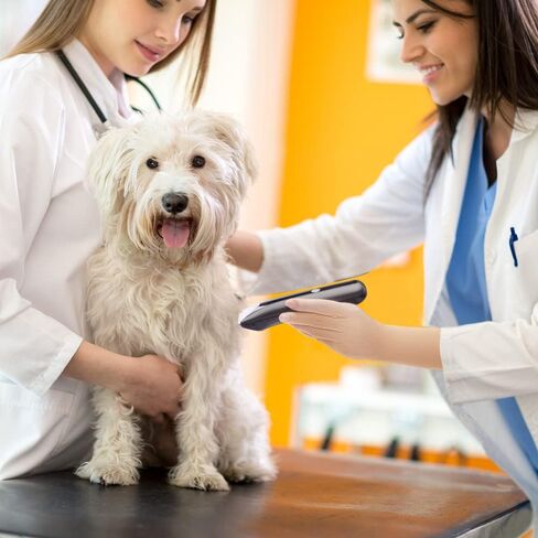 Dog Razor- pet Beauty Scissors Set Low Noise Rechargeable Cordless Electric Mute Barber, Suitable for Dogs, Cats and Other Pets (Blue) in Kuwait