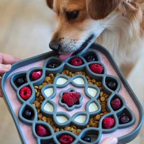 Messy Mutts and Cats Interactive Square Slow Feeder | Blue (2 Cup) | 8" x 8" Square Puzzle Slow Feeder for Dogs/Cats | Enrichment Food Dish for Slow Eating, Bloating in Kuwait