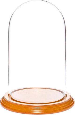 Plymor 4.5" x 8" Glass Display Dome Cloche (Black MDF Wood Base) in Saudi Arabia